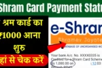 E Shram Card Payment Status